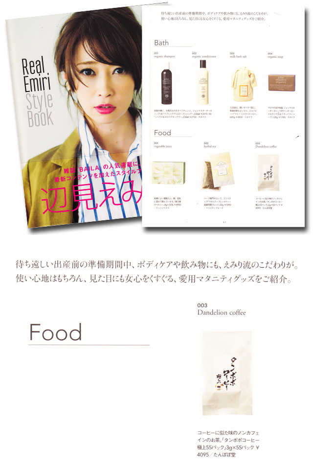 辺見えみり Style Book